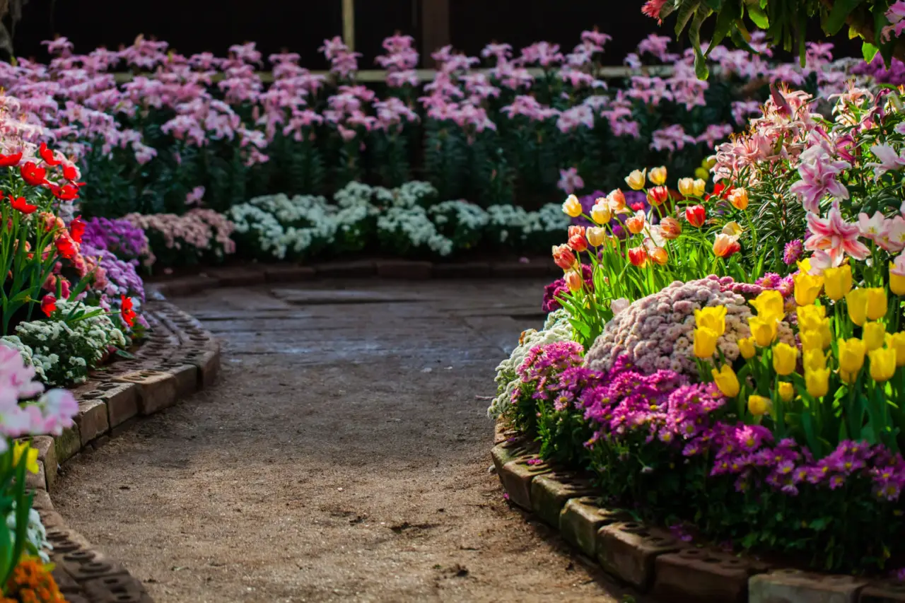 Il trucco per avere un giardino in fiore dodici mesi all’anno: ecco le piante che non ti aspetti
