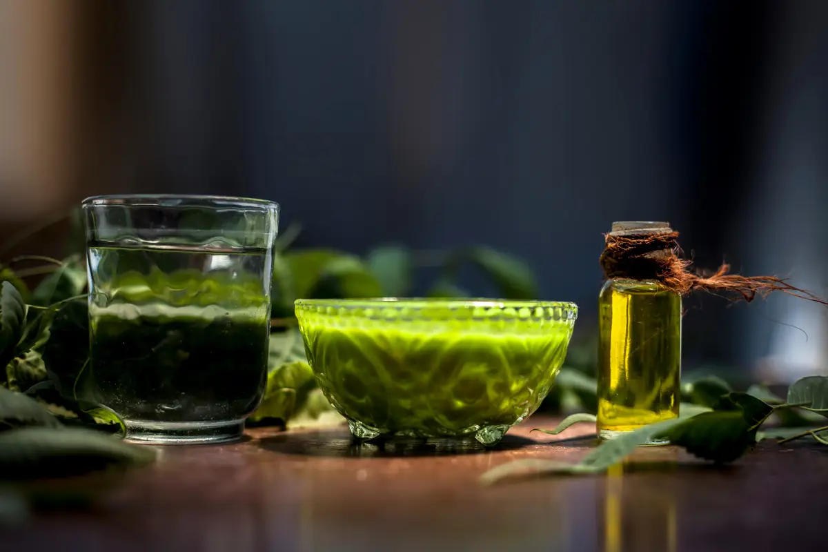Che insetti combatte l’olio di Neem? Ecco la risposta